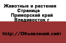  Животные и растения - Страница 6 . Приморский край,Владивосток г.